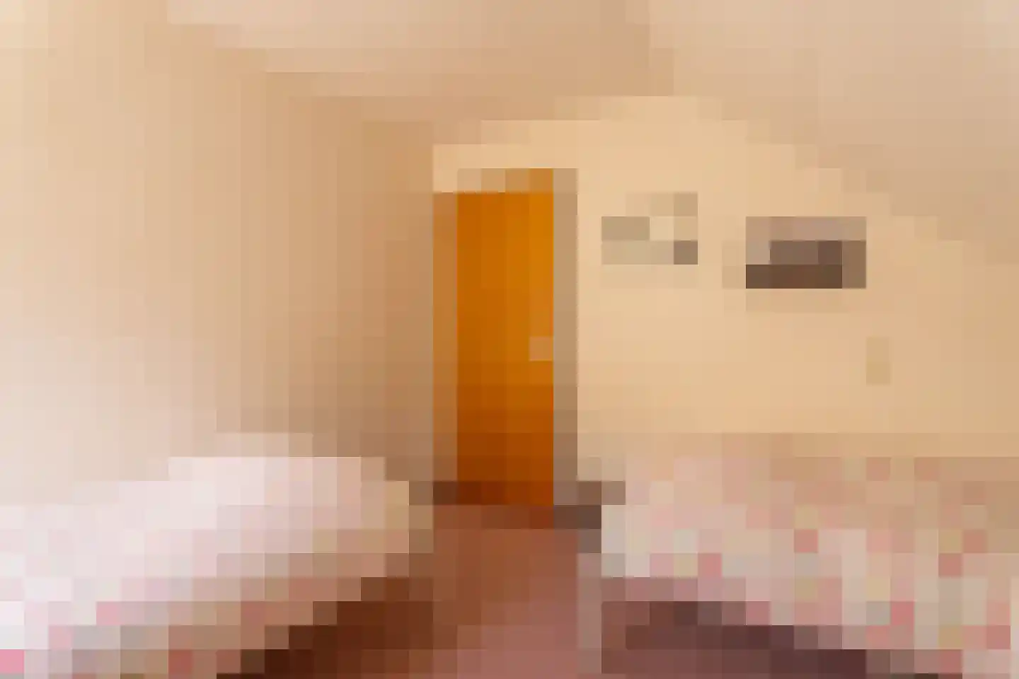 Hillegommerdijk 76 Lisserbroek thumbnail 44