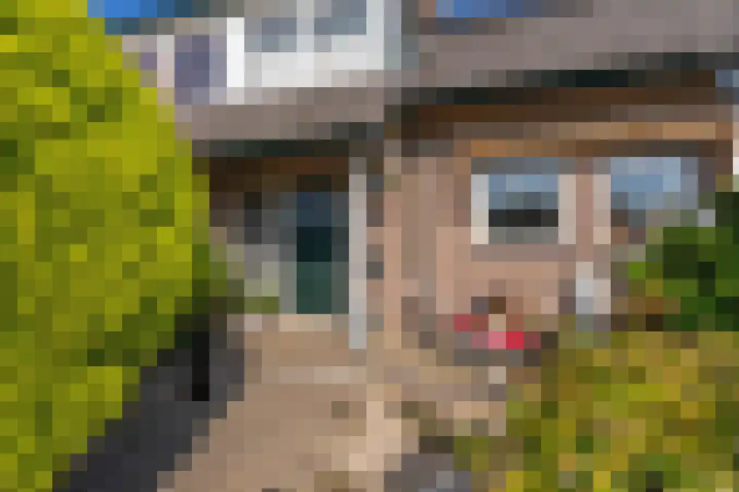 Hillegommerdijk 76 Lisserbroek thumbnail 8