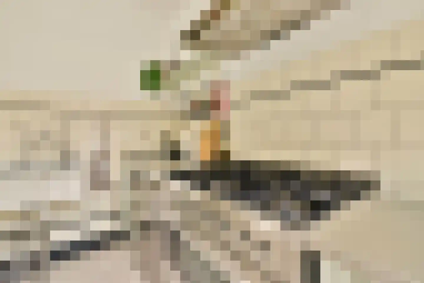 Hillegomstraat 21 1 Amsterdam thumbnail 10