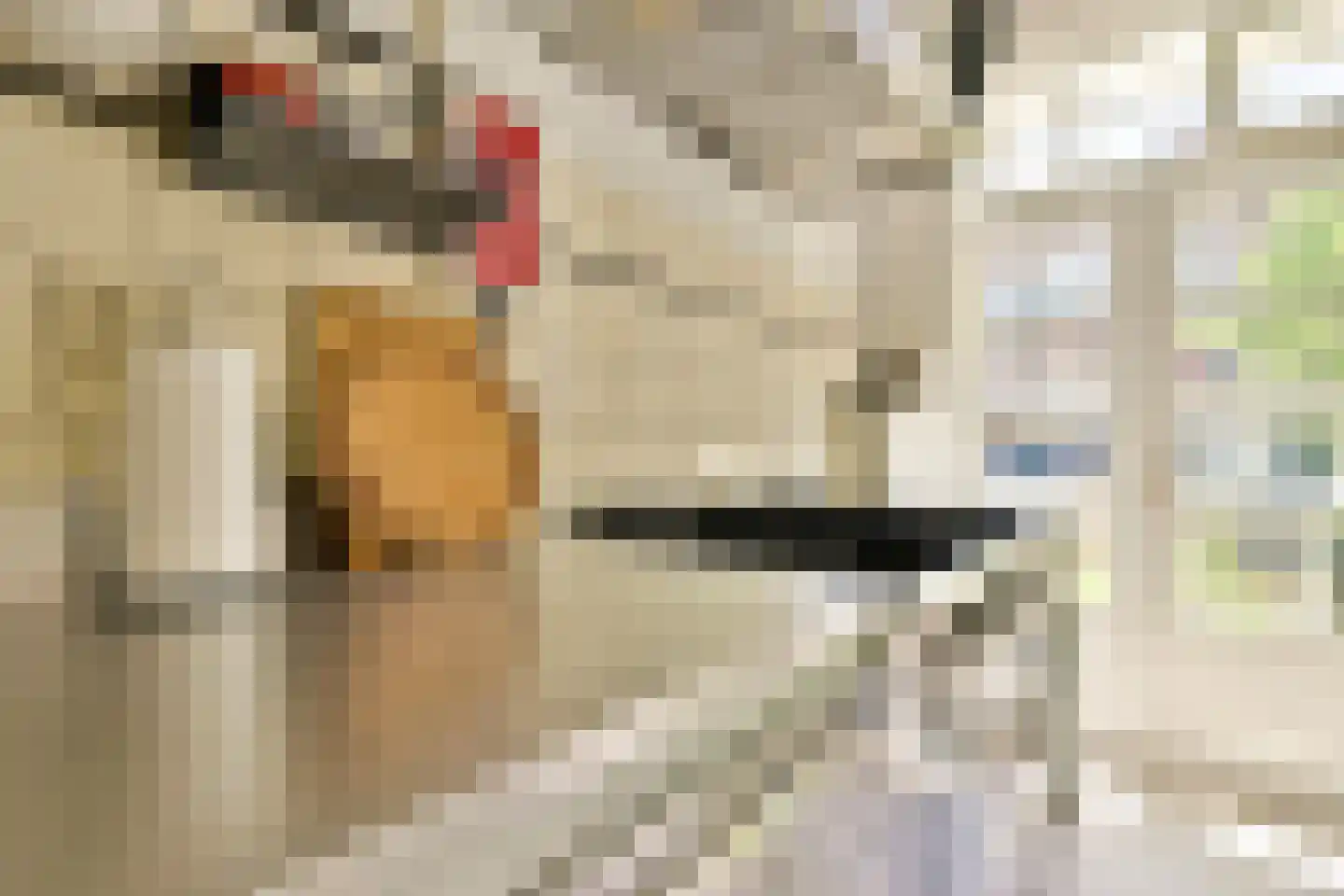Hillegomstraat 21 1 Amsterdam thumbnail 11
