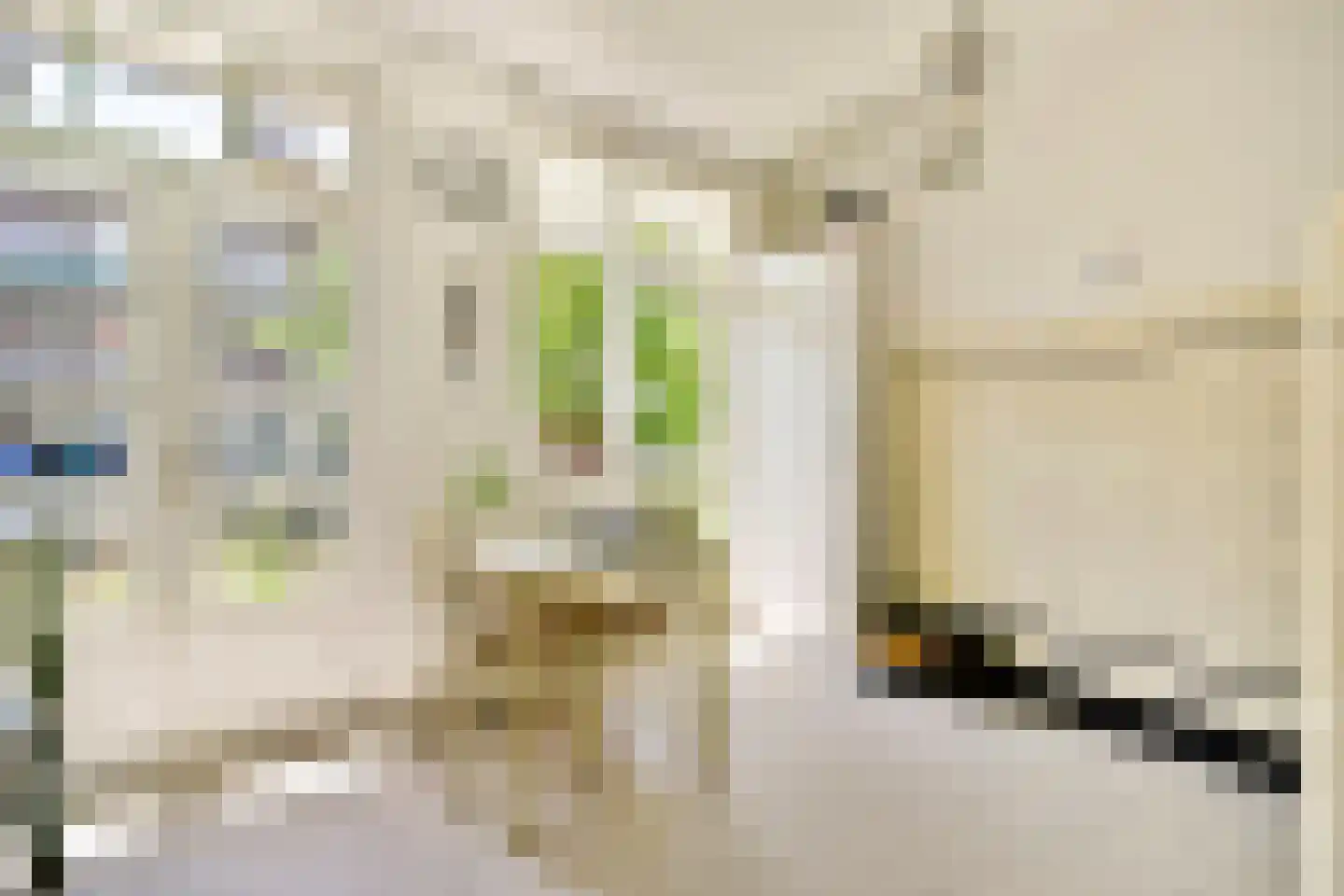 Hillegomstraat 21 1 Amsterdam thumbnail 12