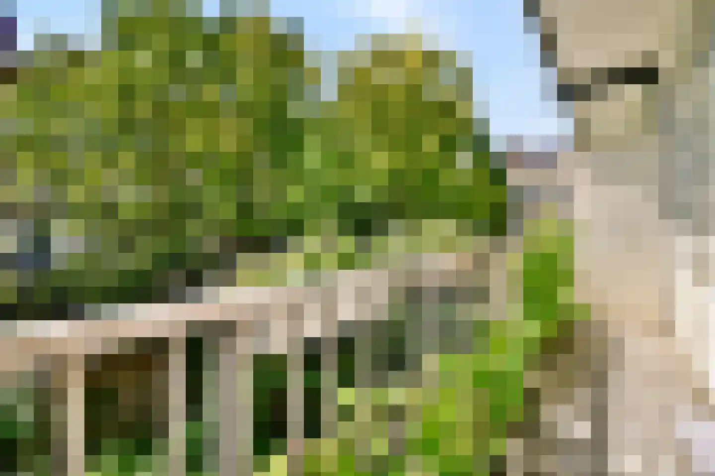 Hillegomstraat 21 1 Amsterdam thumbnail 15