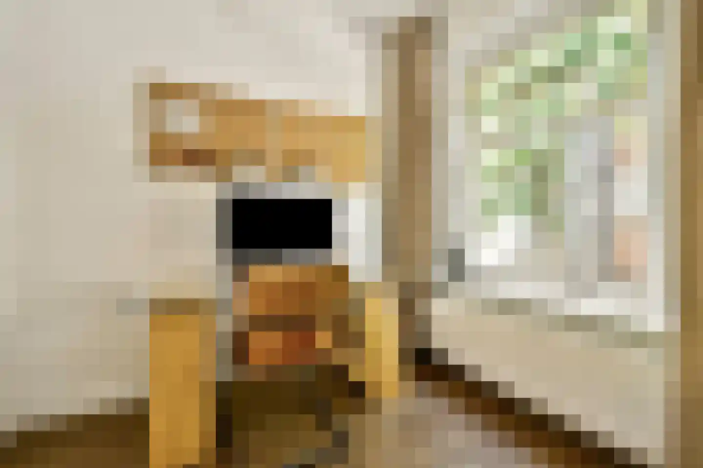 Hillegomstraat 21 1 Amsterdam thumbnail 7