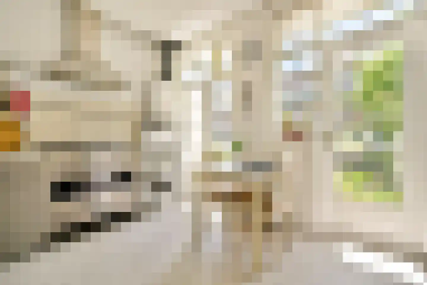 Hillegomstraat 21 1 Amsterdam thumbnail 9