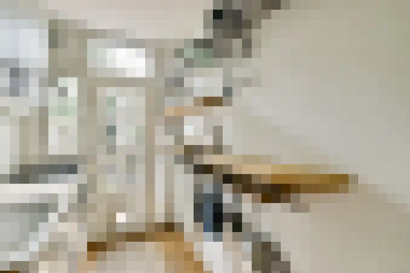 Hillegomstraat 24 H Amsterdam thumbnail 12