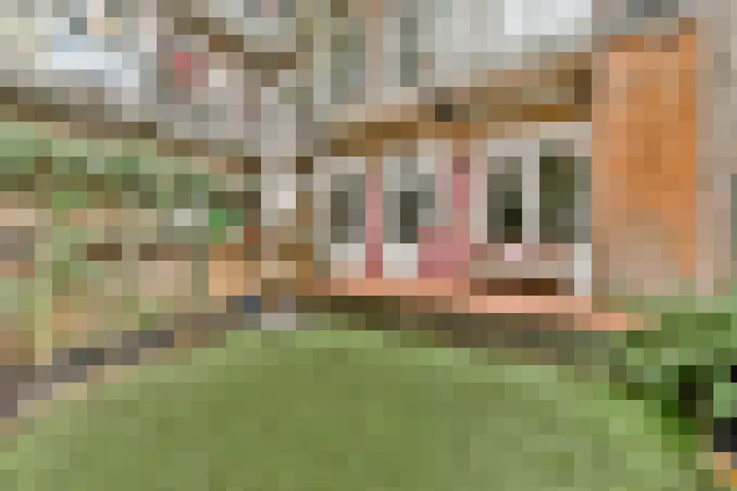 Hillegomstraat 24 H Amsterdam thumbnail 21