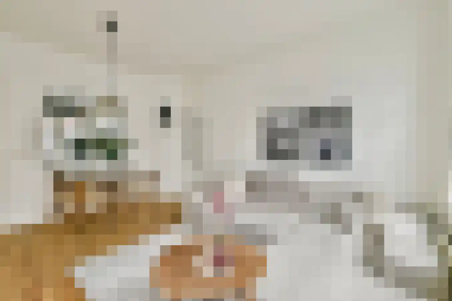 Hillegomstraat 24 H Amsterdam thumbnail 9