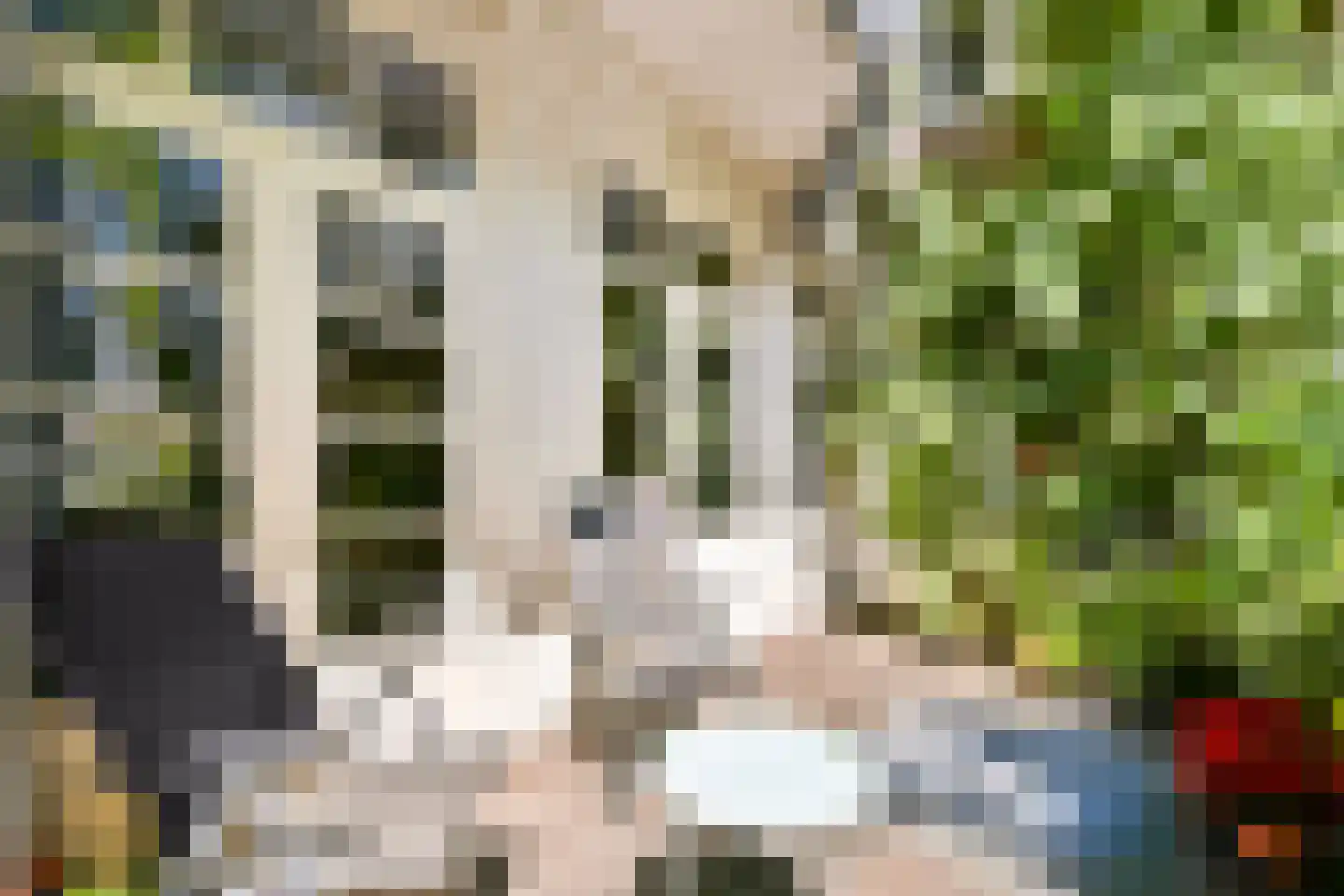 Hillegomstraat 3 H Amsterdam thumbnail 9