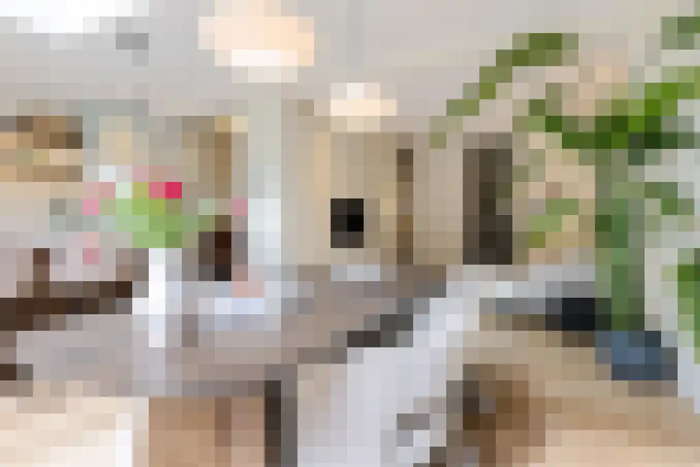 Hillegomstraat 45 2 Amsterdam thumbnail 15