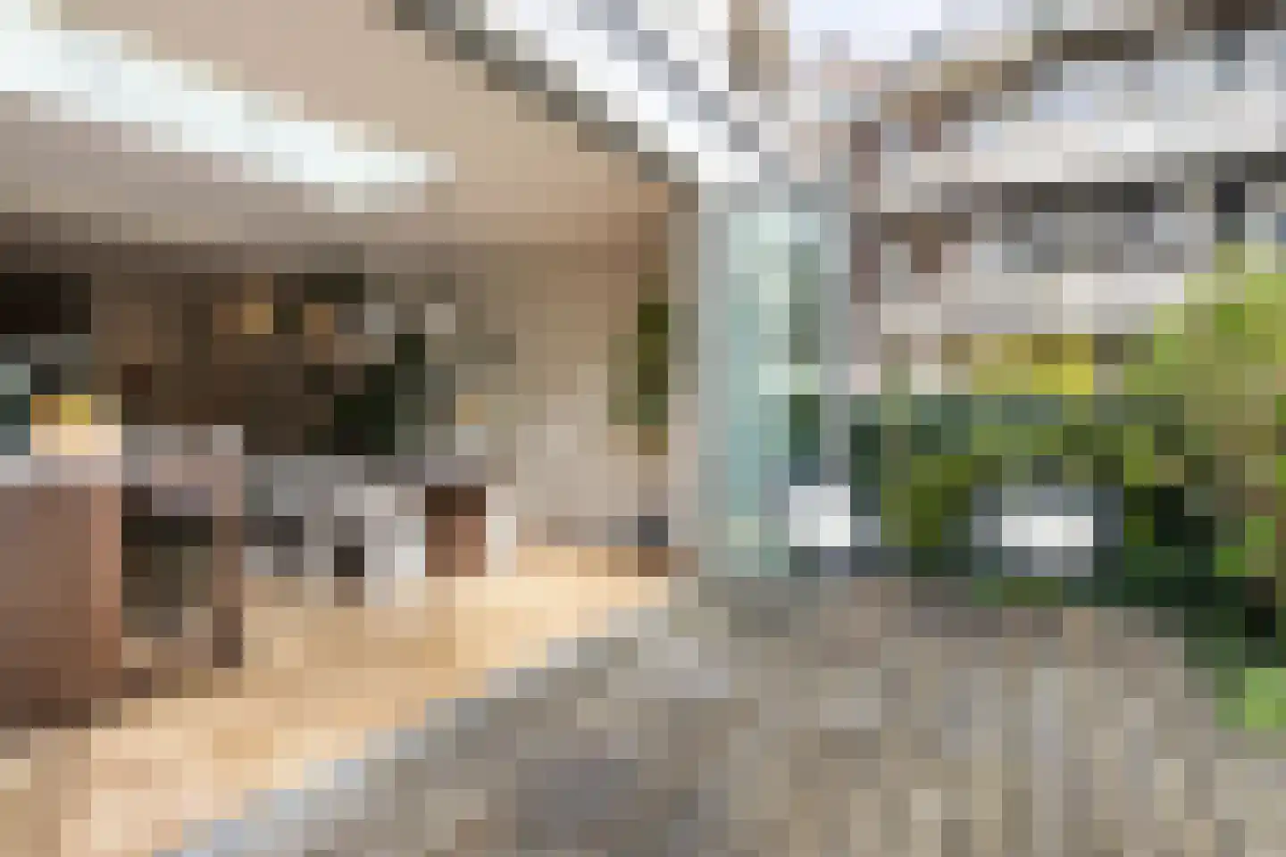 Hillegomstraat 45 2 Amsterdam thumbnail 19