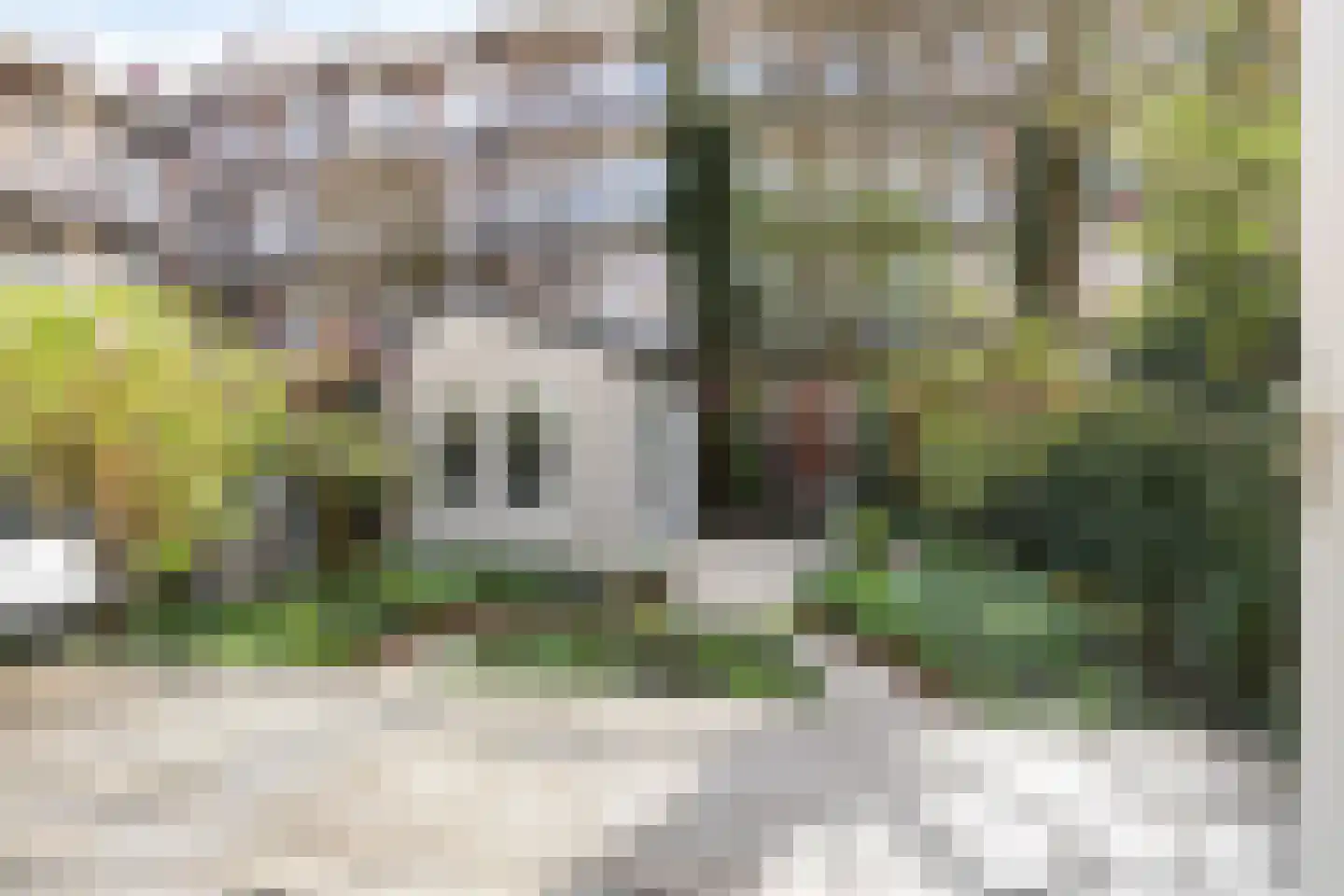 Hillegomstraat 45 2 Amsterdam thumbnail 21