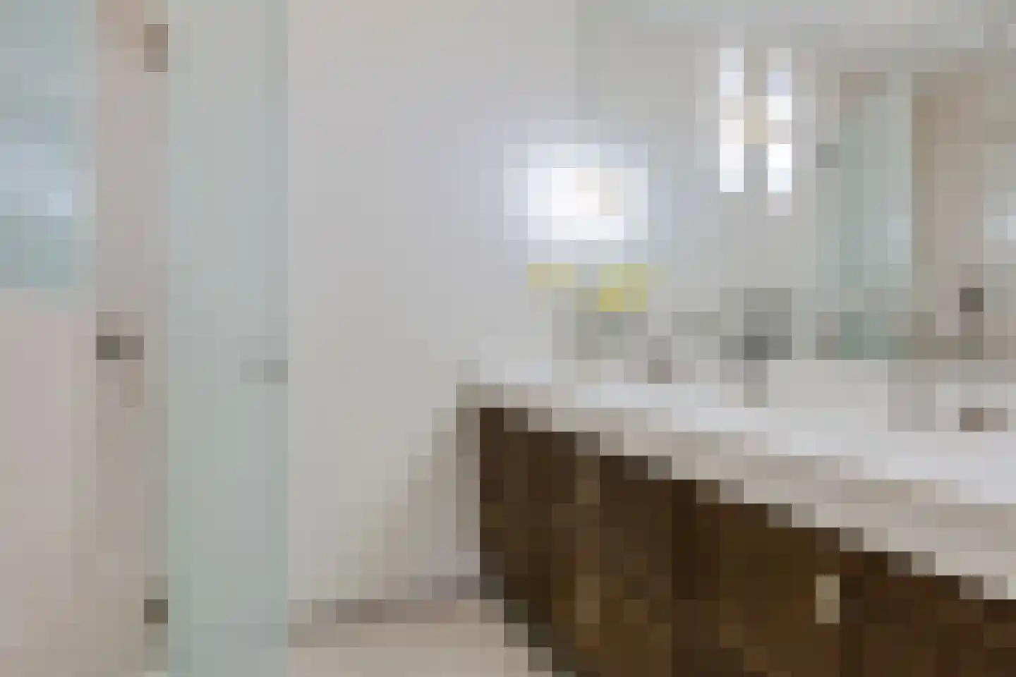 Hillegomstraat 45 2 Amsterdam thumbnail 34