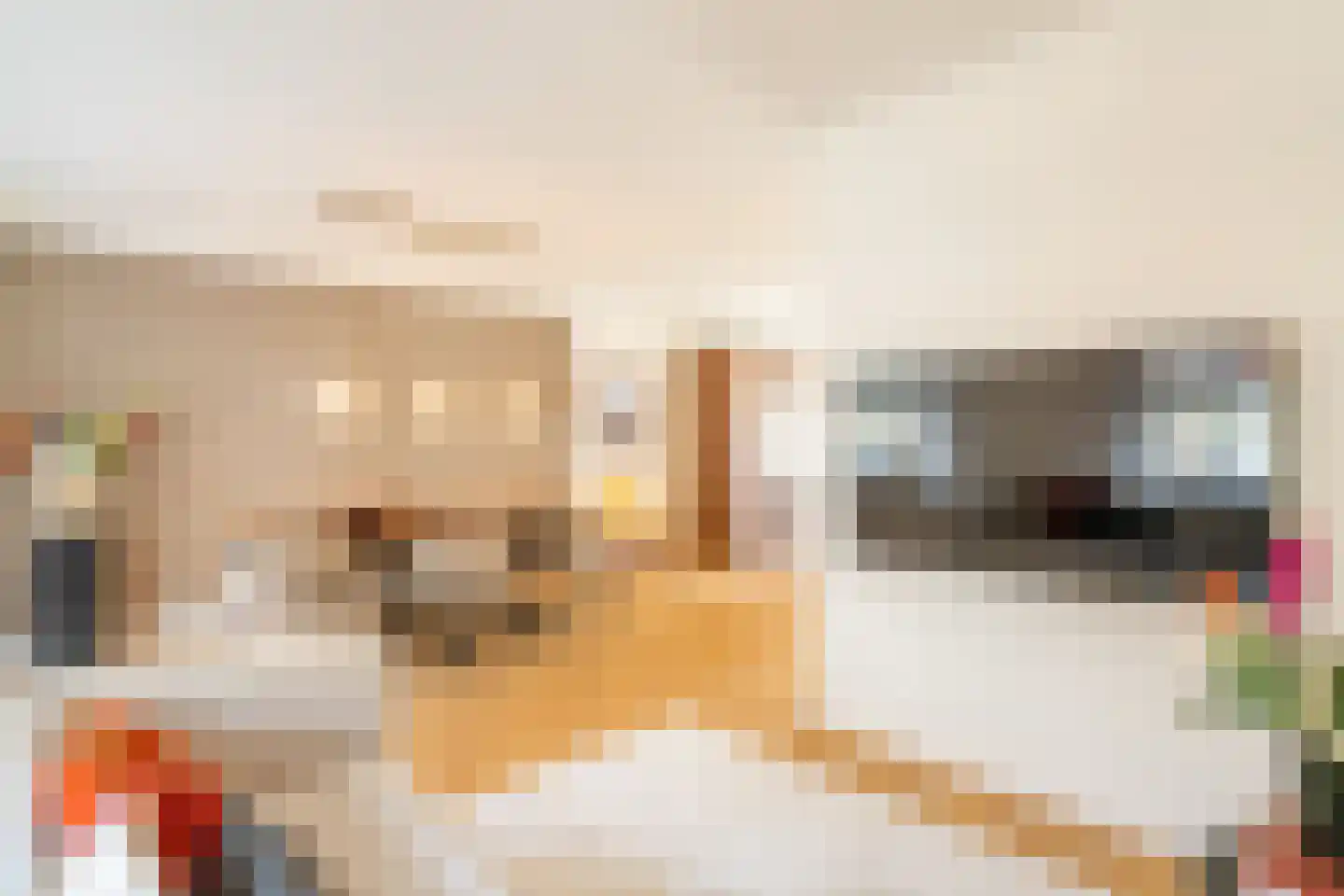 Hillegomstraat 9 1 Amsterdam thumbnail 19