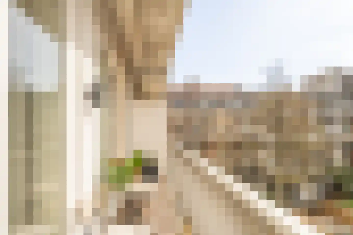 Hillegomstraat 9 1 Amsterdam thumbnail 24