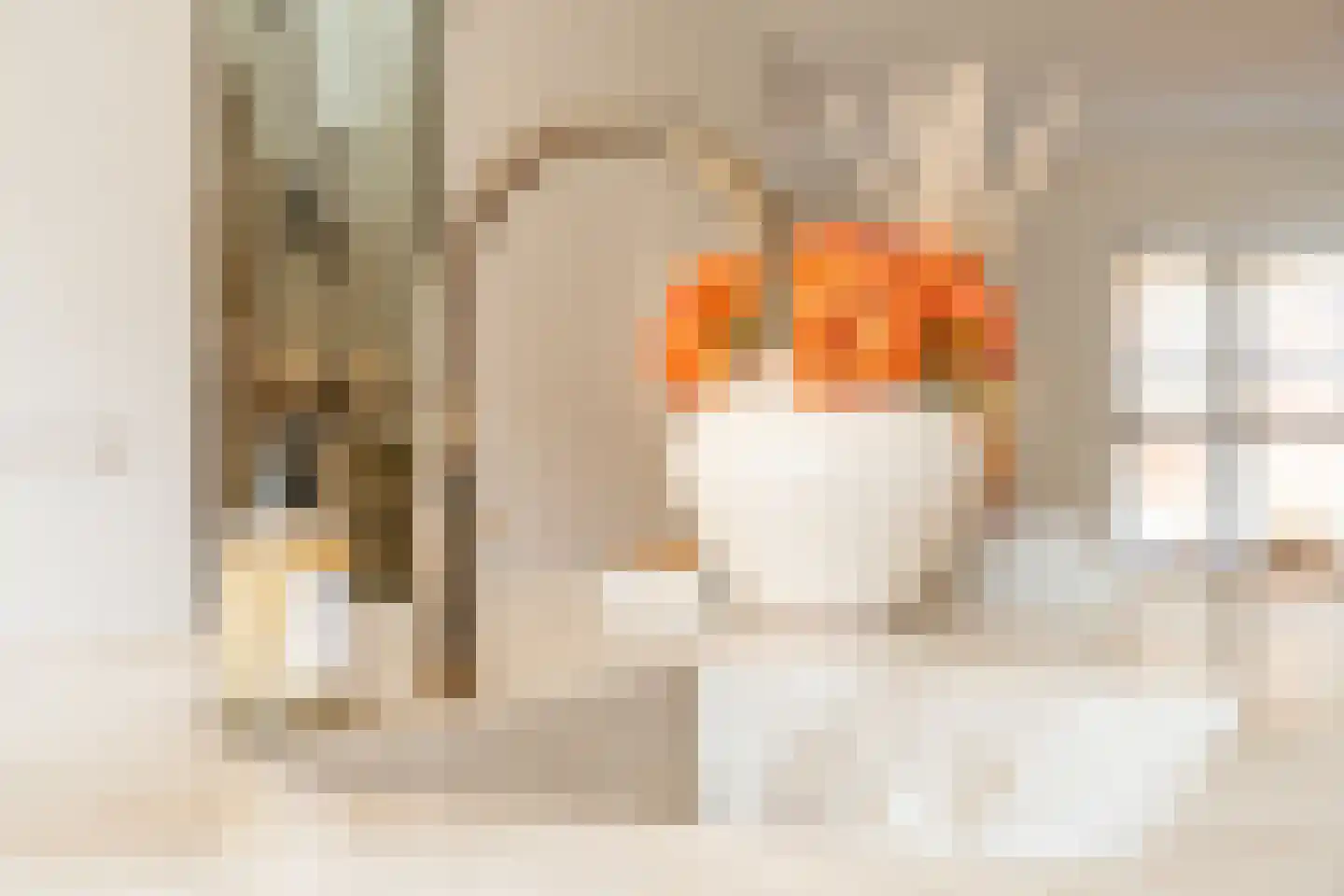 Hillegomstraat 9 1 Amsterdam thumbnail 9