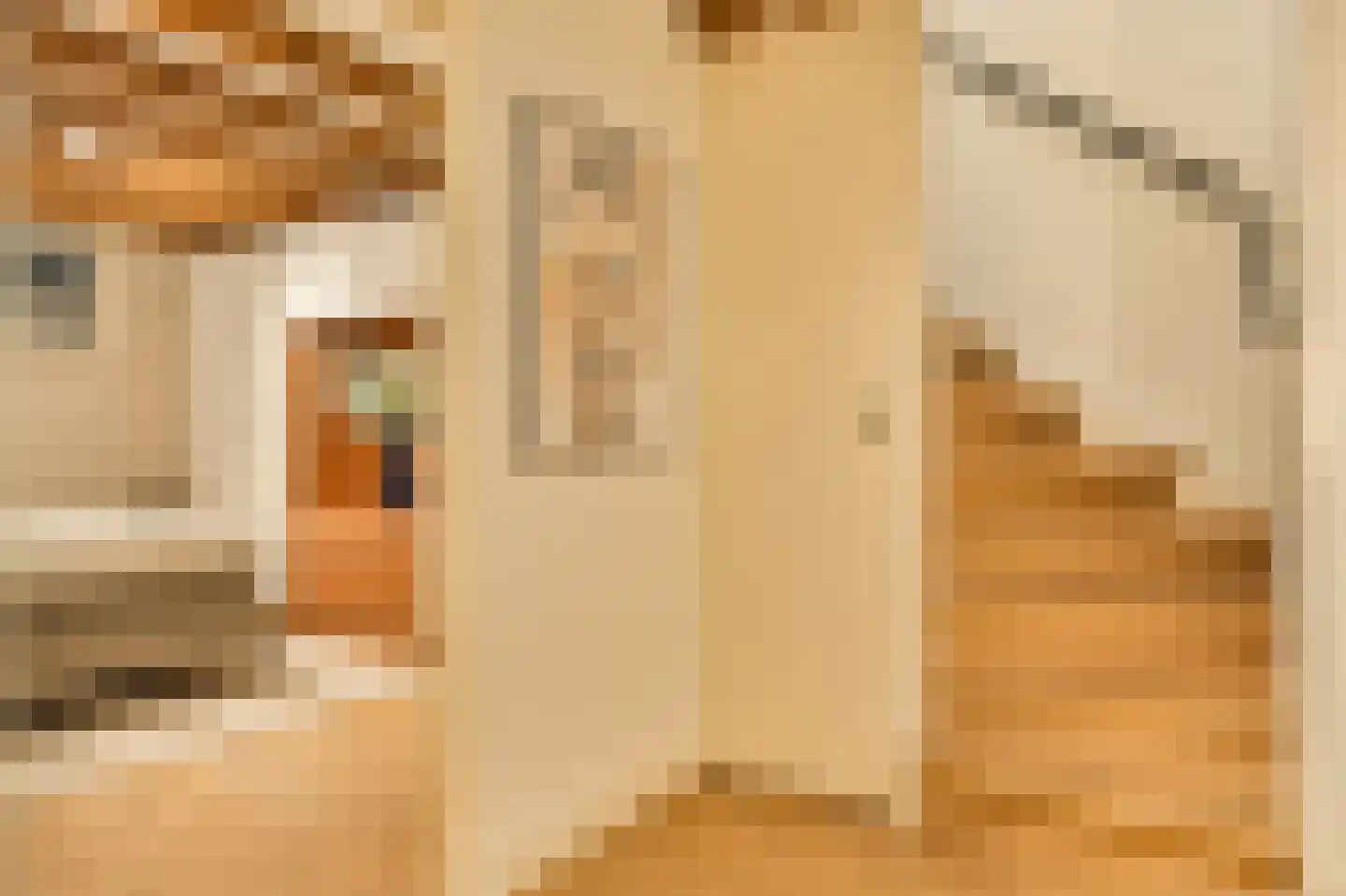 Hillegomstraat 9 2 Amsterdam thumbnail 4