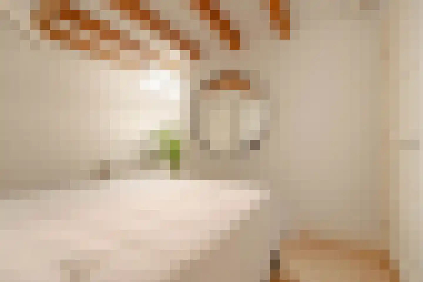 Hillegomstraat 9 H Amsterdam thumbnail 32