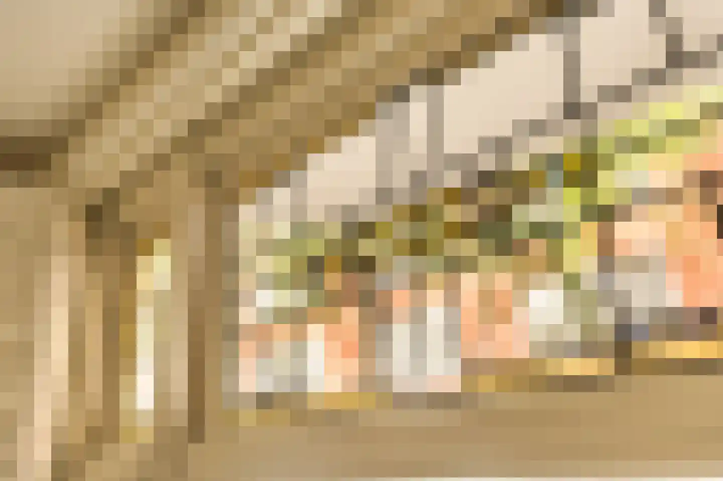 Hillegomstraat 9 H Amsterdam thumbnail 9