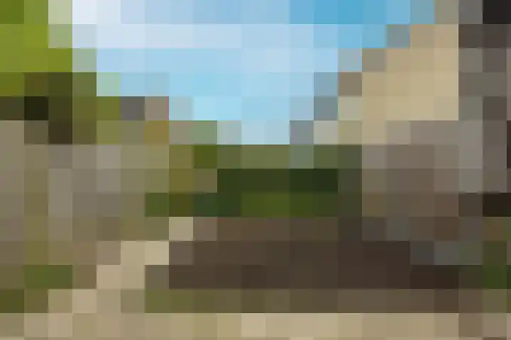 Hillegomweg 31 Arnhem thumbnail 25