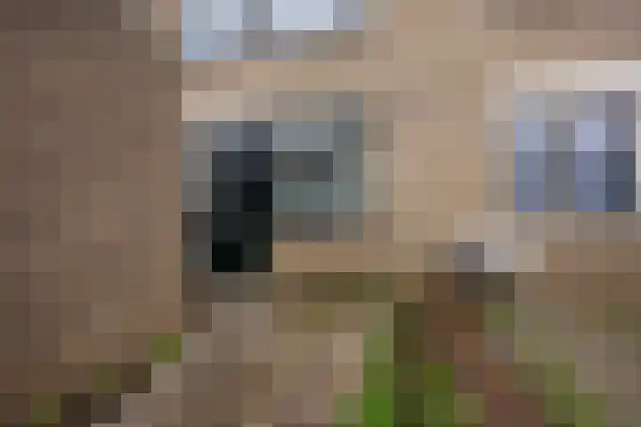 Hillegomweg 31 Arnhem thumbnail 27