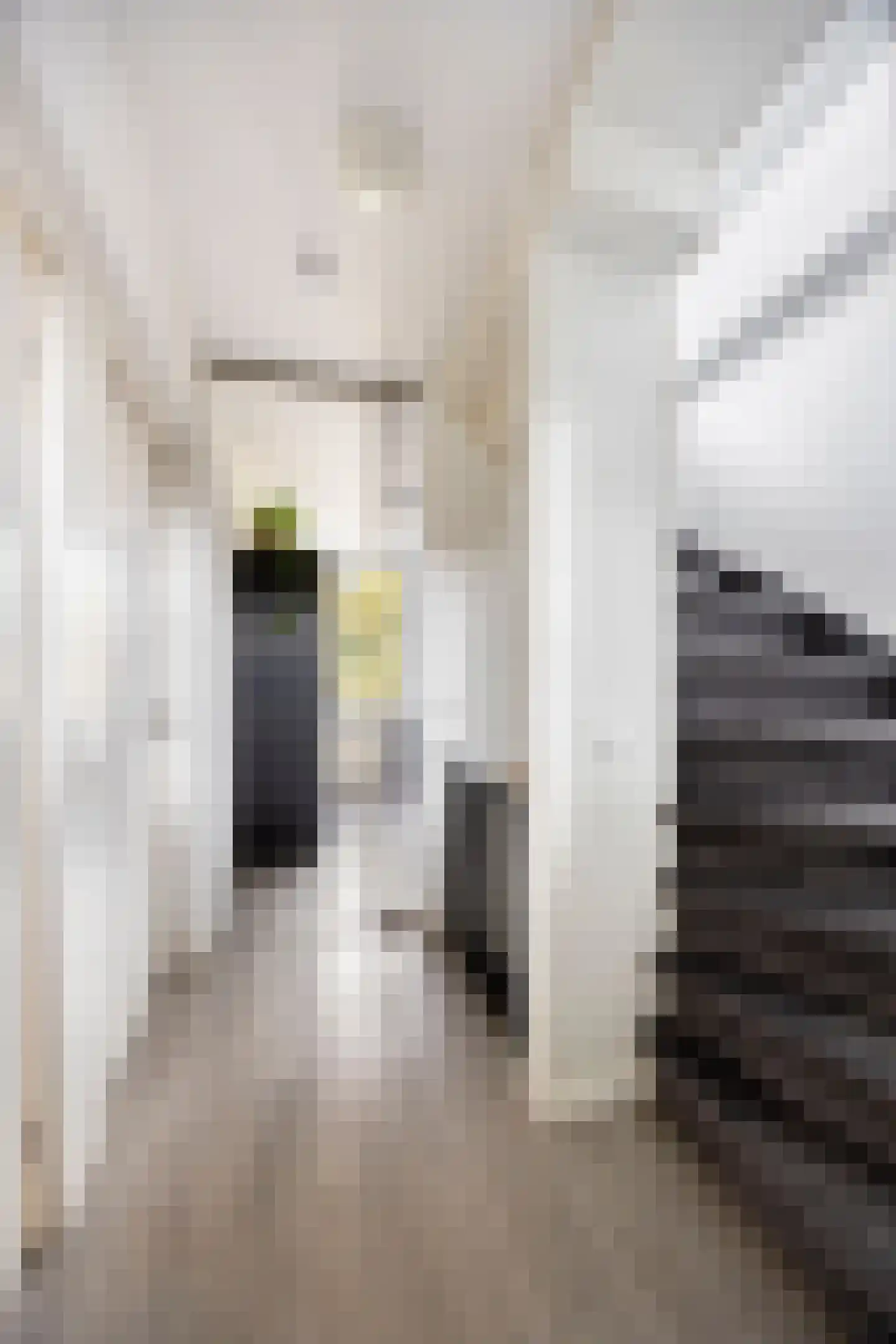 Hillegomweg 36 Arnhem thumbnail 22