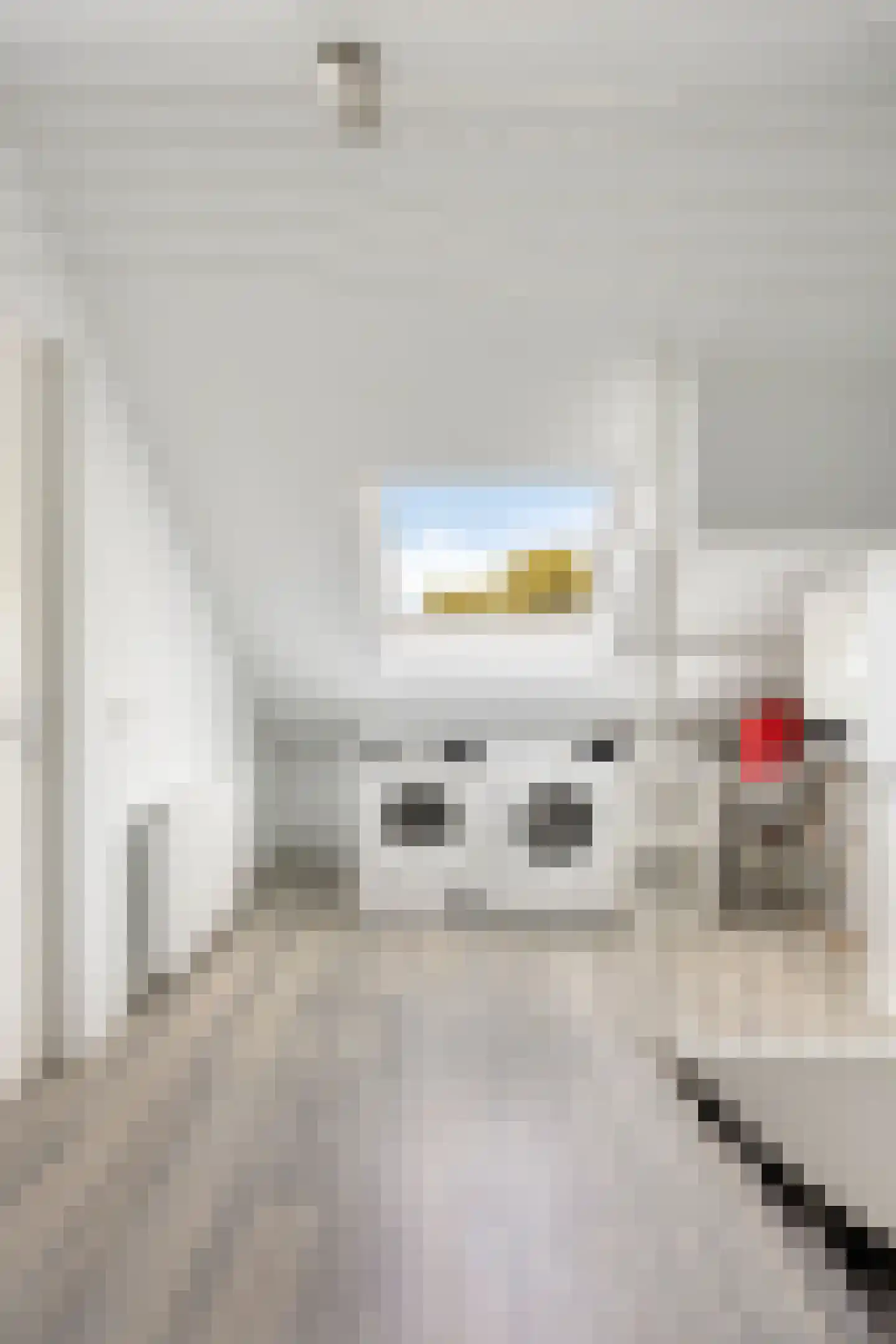 Hillegomweg 36 Arnhem thumbnail 34