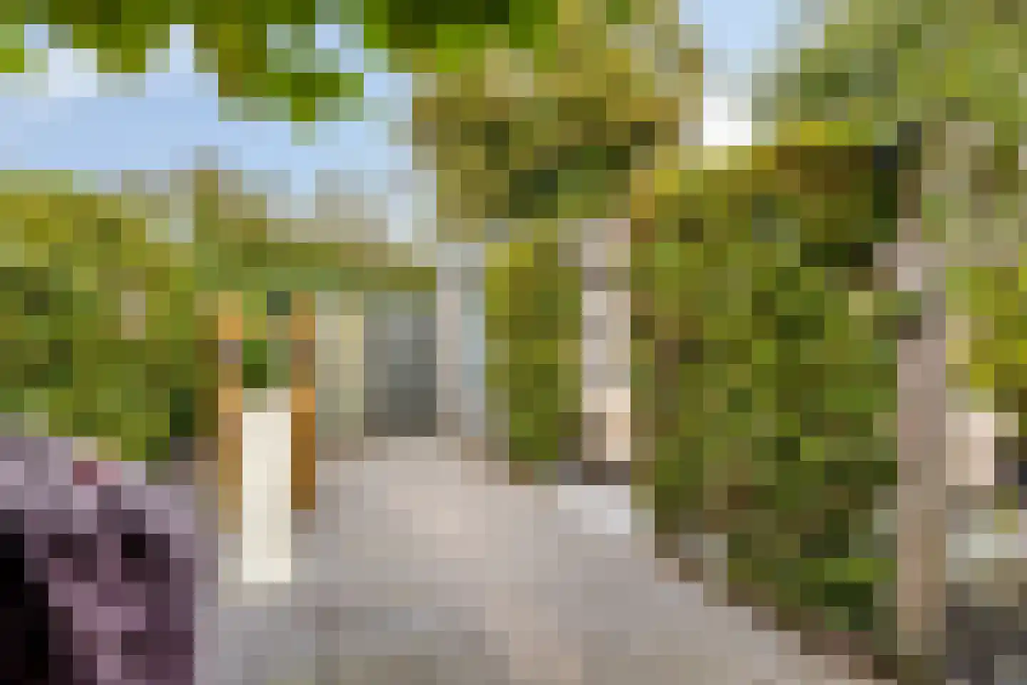 Hillegomweg 36 Arnhem thumbnail 40