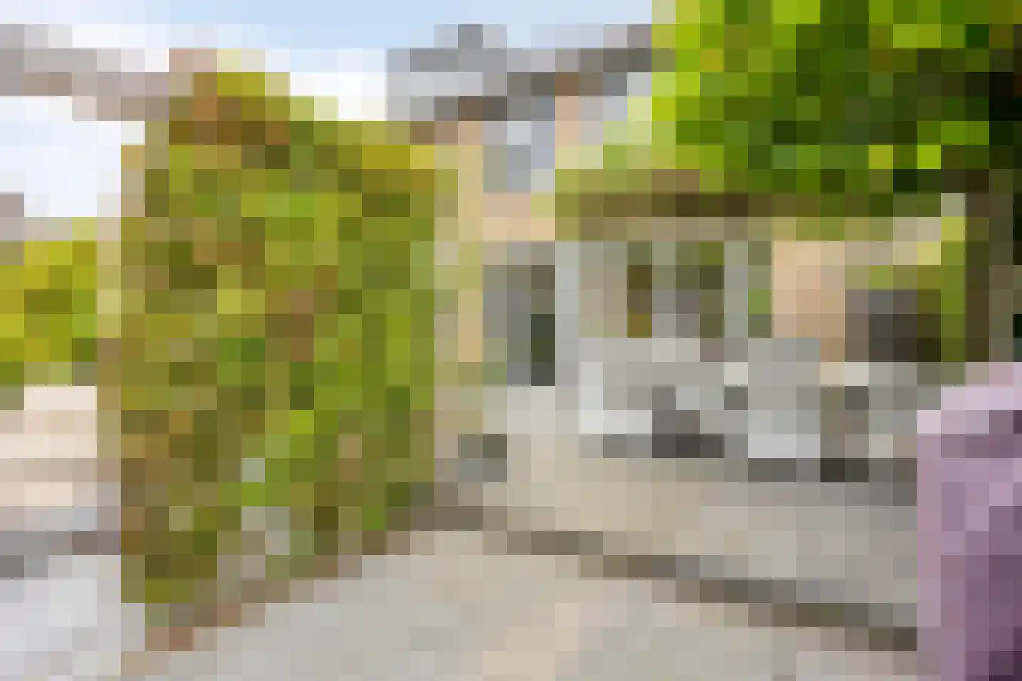 Hillegomweg 36 Arnhem thumbnail 41