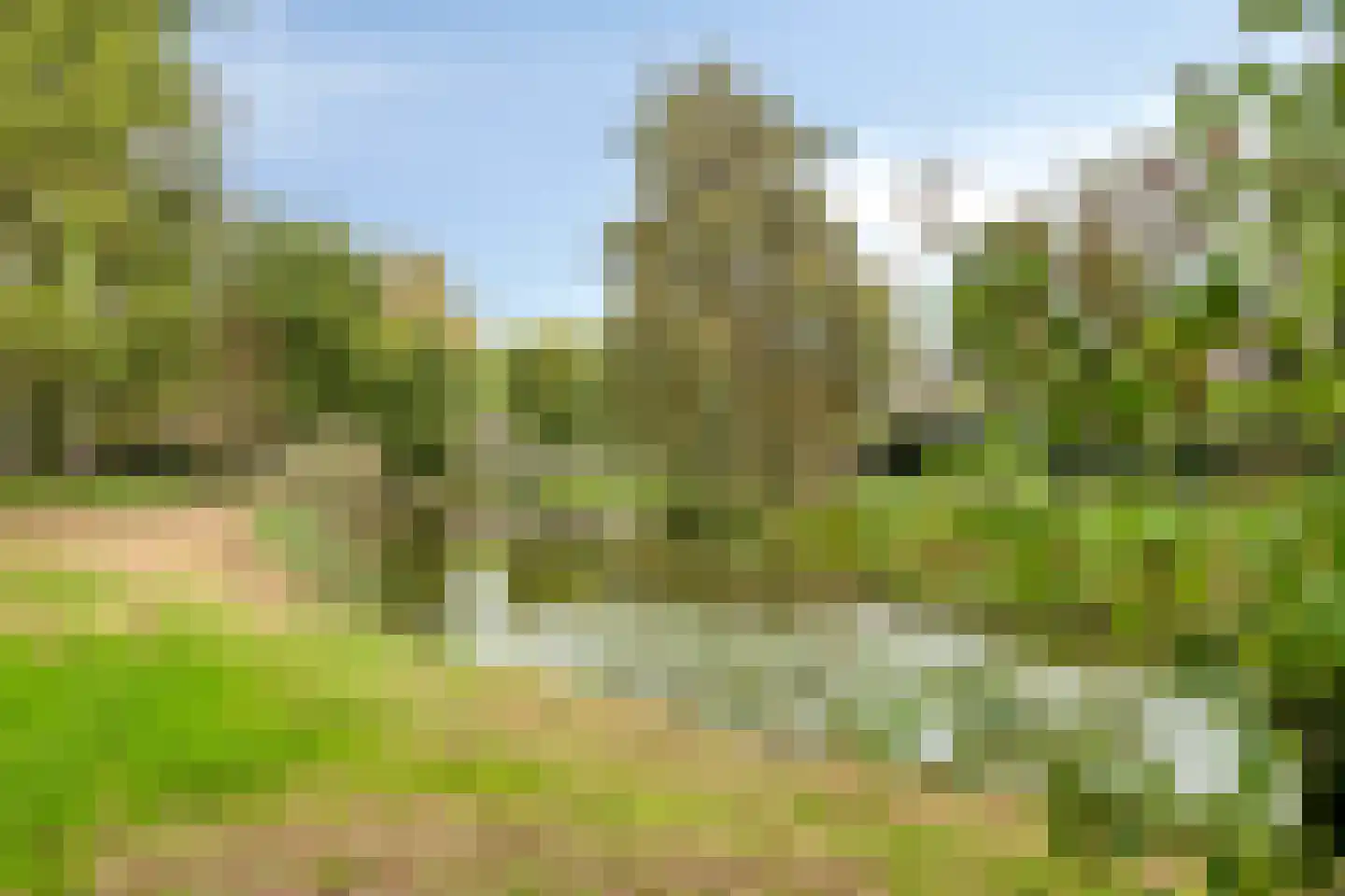 Hillegomweg 36 Arnhem thumbnail 43