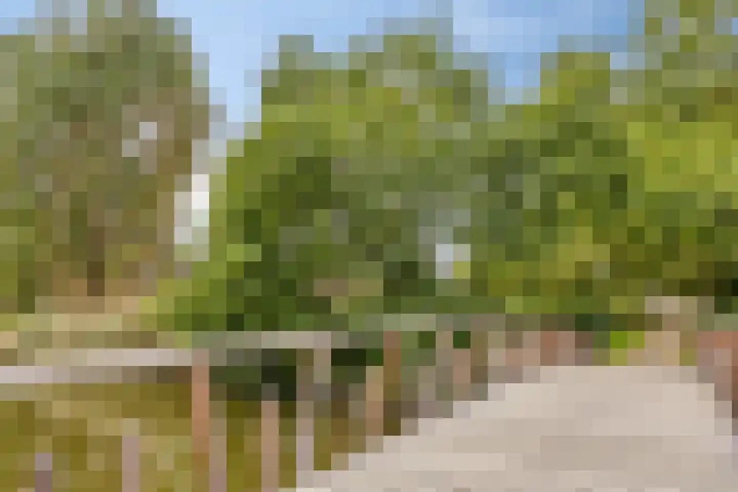 Hillegomweg 36 Arnhem thumbnail 44