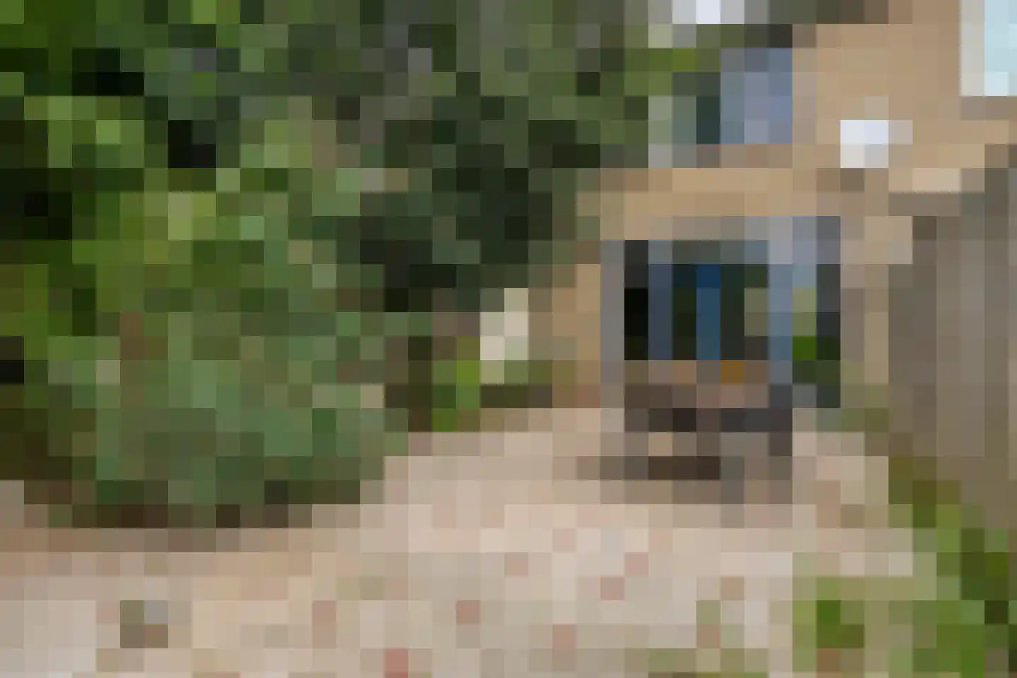 Hillegomweg 53 Arnhem thumbnail 7