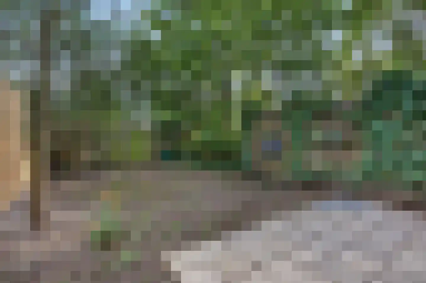 Hillegomweg 55 Arnhem thumbnail 19