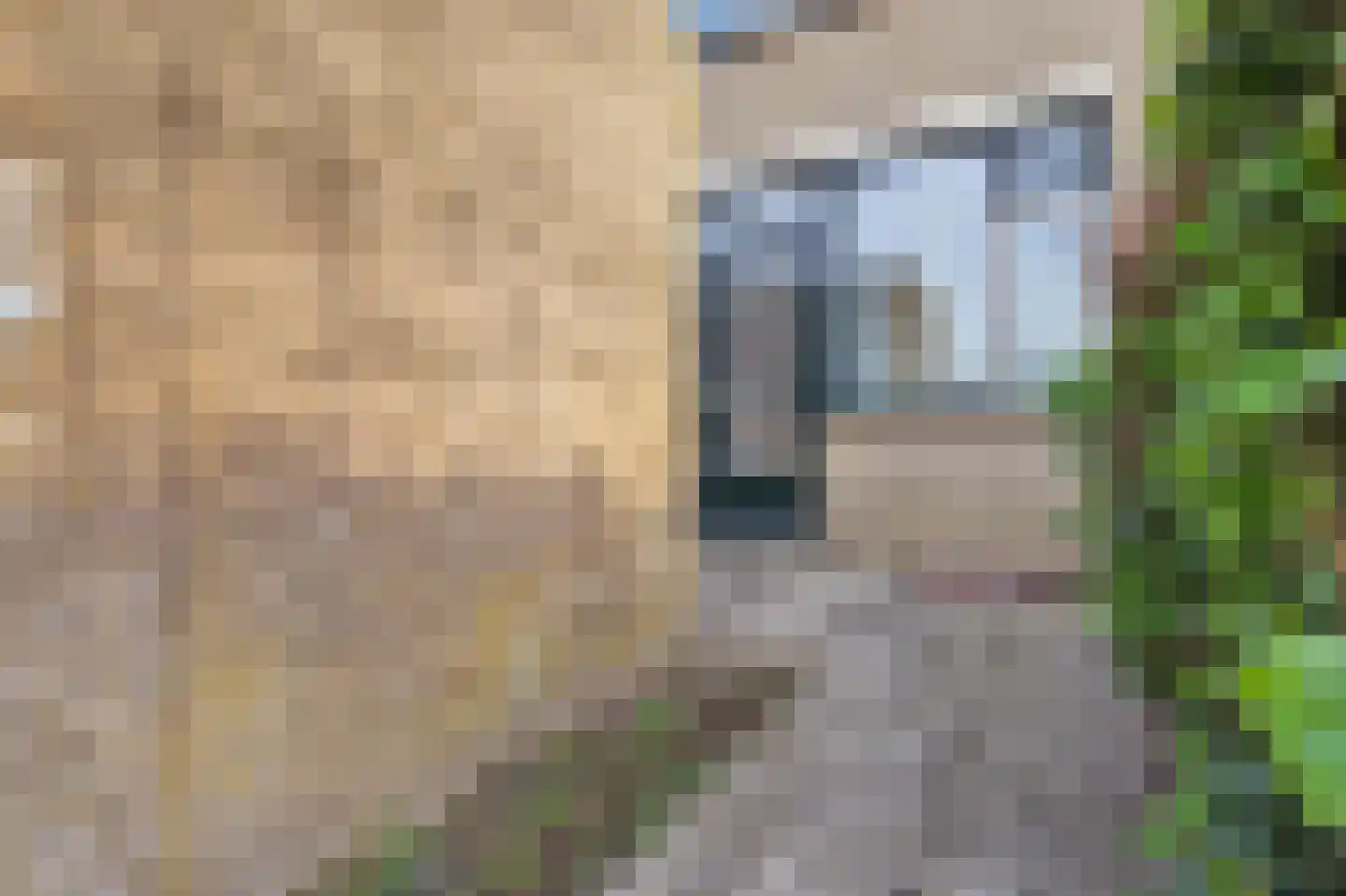 Hillegomweg 55 Arnhem thumbnail 21