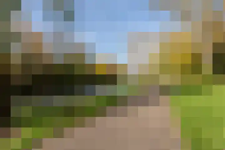 Hillegomweg 79 Arnhem thumbnail 34