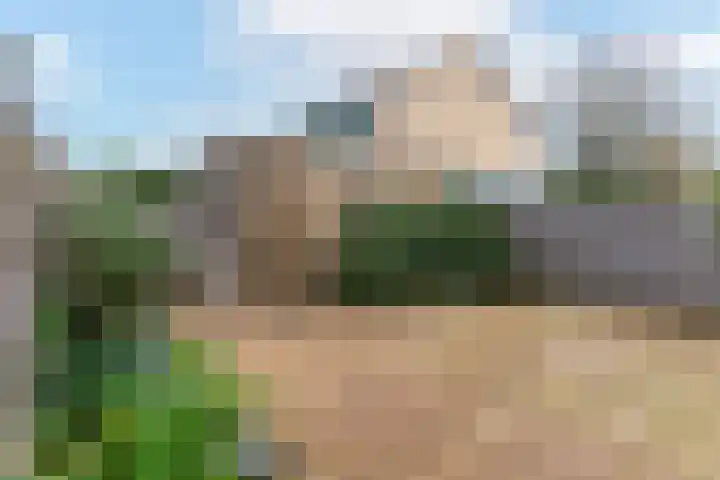 Hillegomweg 79 Arnhem thumbnail 4