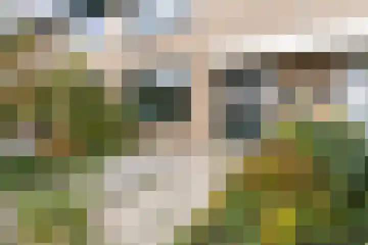 Hillegomweg 79 Arnhem thumbnail 7