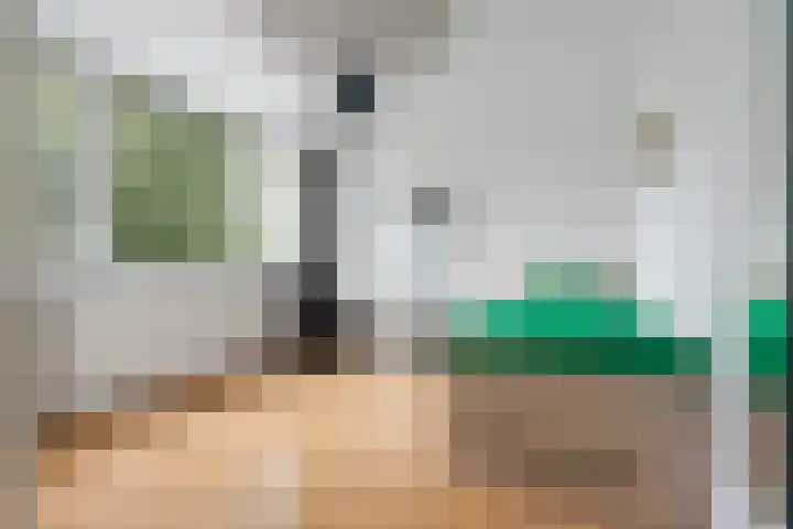 Hillegomweg 88 Arnhem thumbnail 18