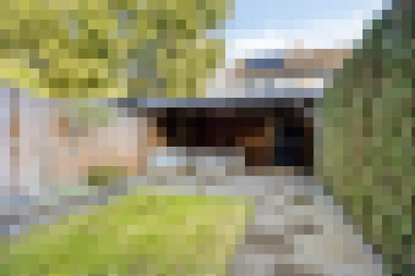 Hillegomweg 91 Arnhem thumbnail 13