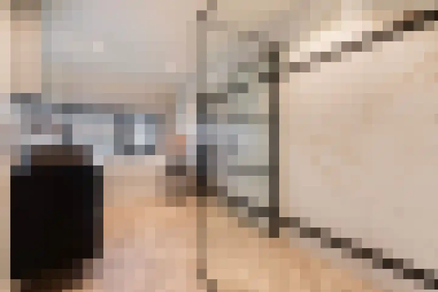 Hillegondaplein 19 Rotterdam thumbnail 11