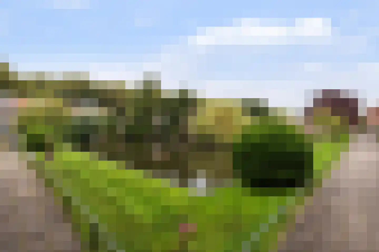 Hillegondaplein 19 Rotterdam thumbnail 19