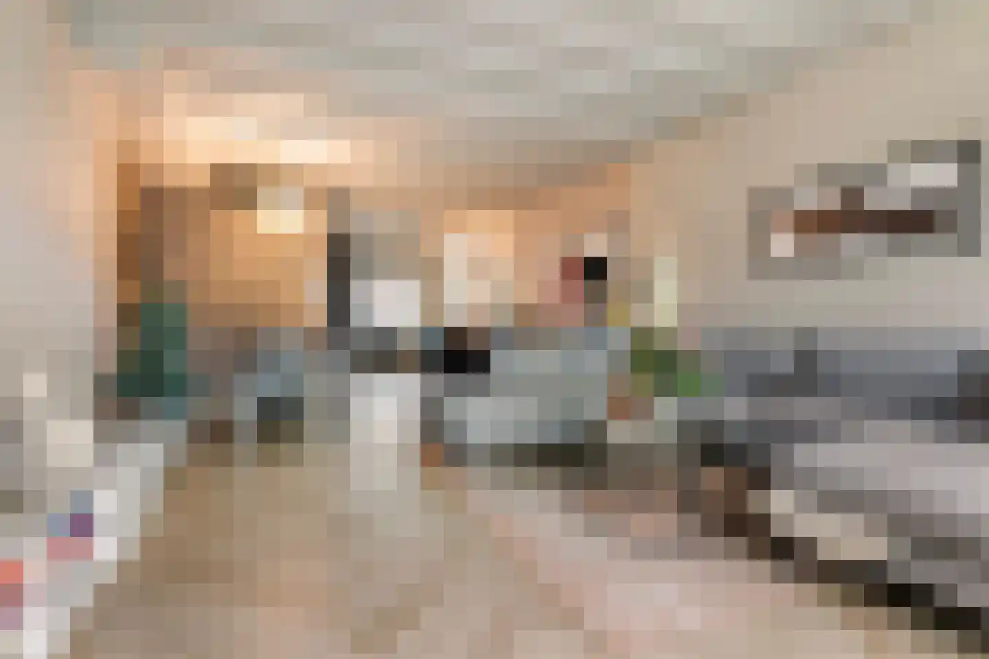 Hillegondaplein 19 Rotterdam thumbnail 4