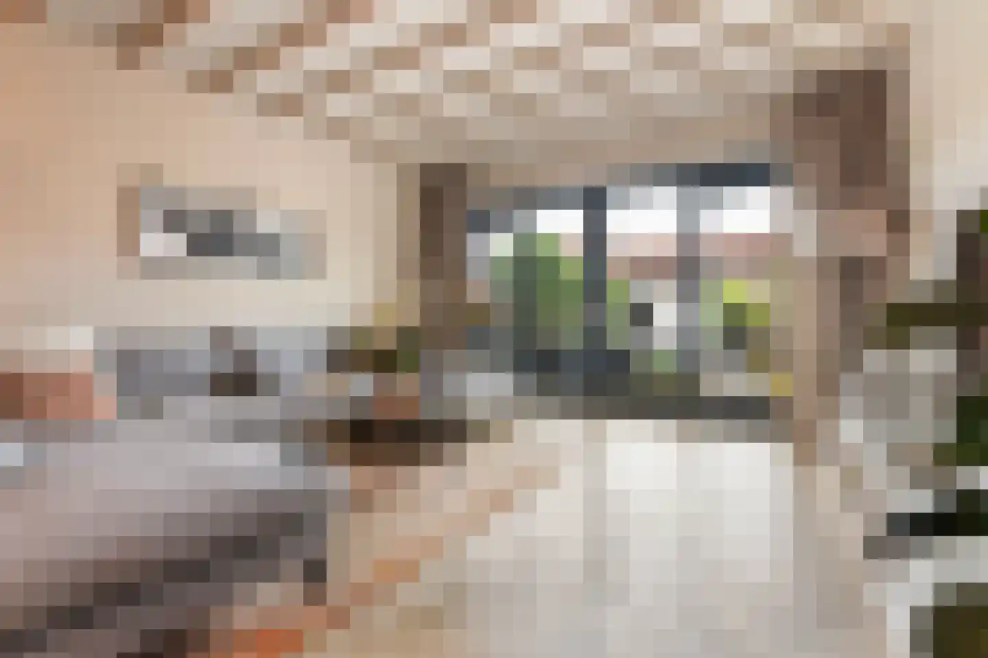 Hillegondaplein 19 Rotterdam thumbnail 5