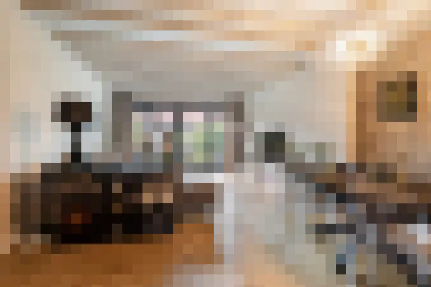 Hillegondaplein 19 Rotterdam thumbnail 7