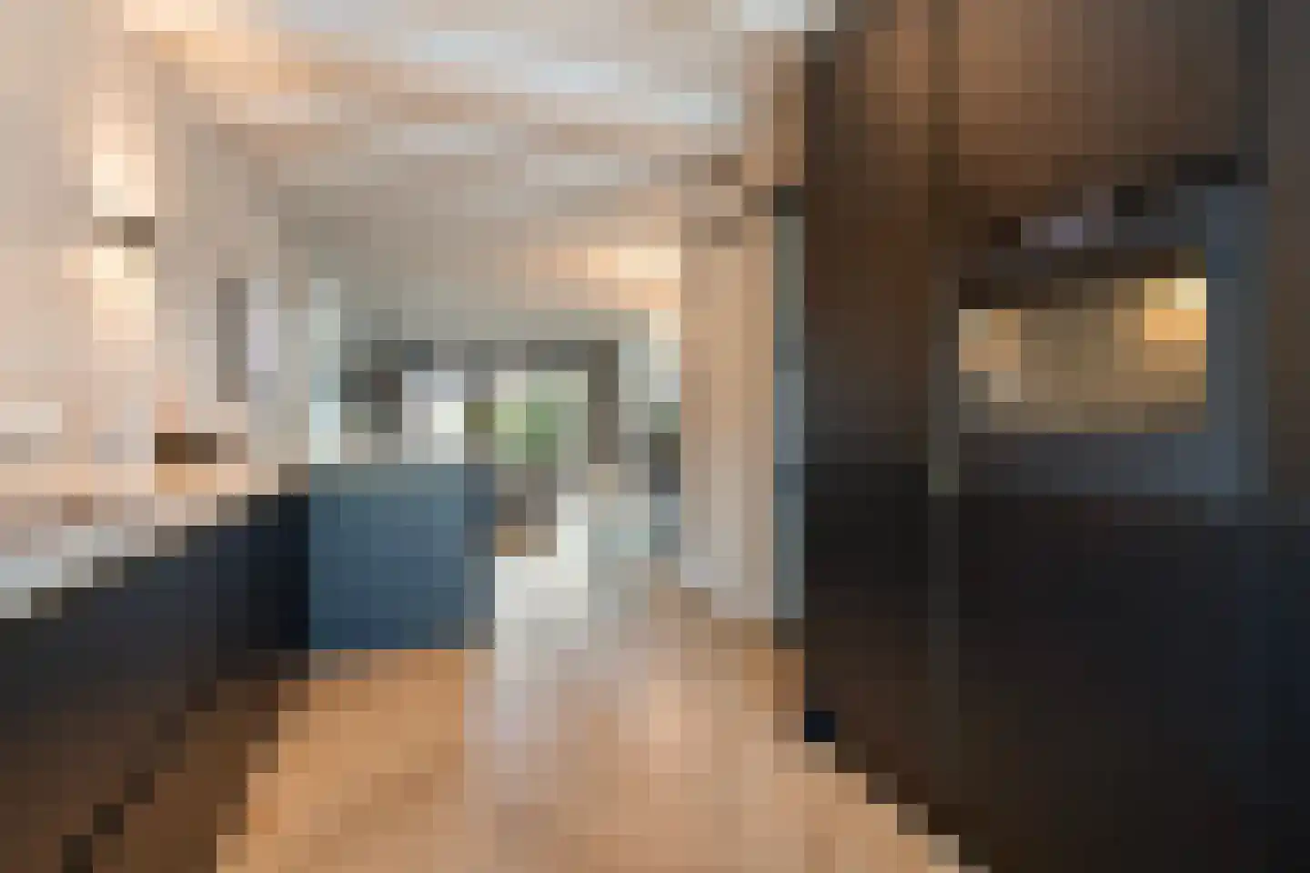 Hillegondaplein 19 Rotterdam thumbnail 8