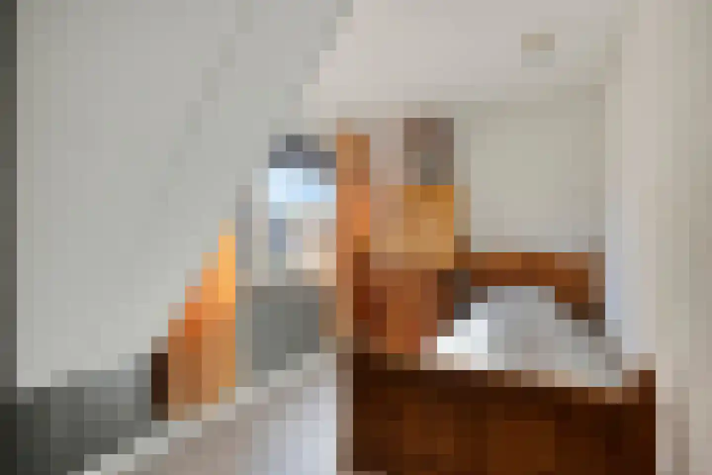 Hillegondastraat 10 Klazienaveen thumbnail 13