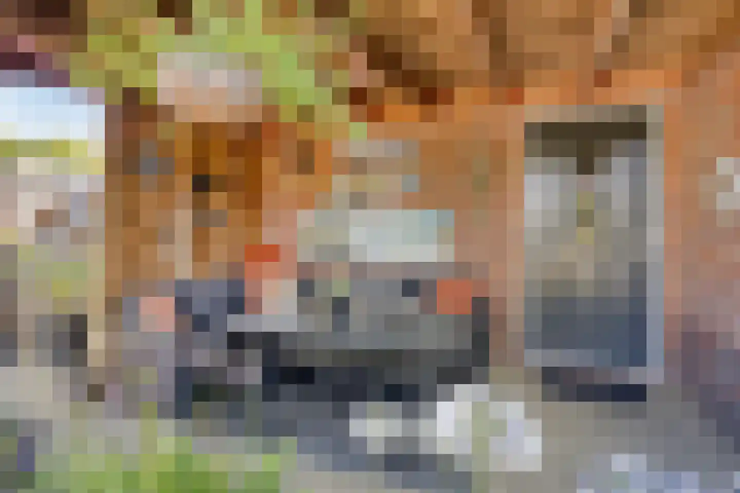 Hillegondastraat 10 Klazienaveen thumbnail 16