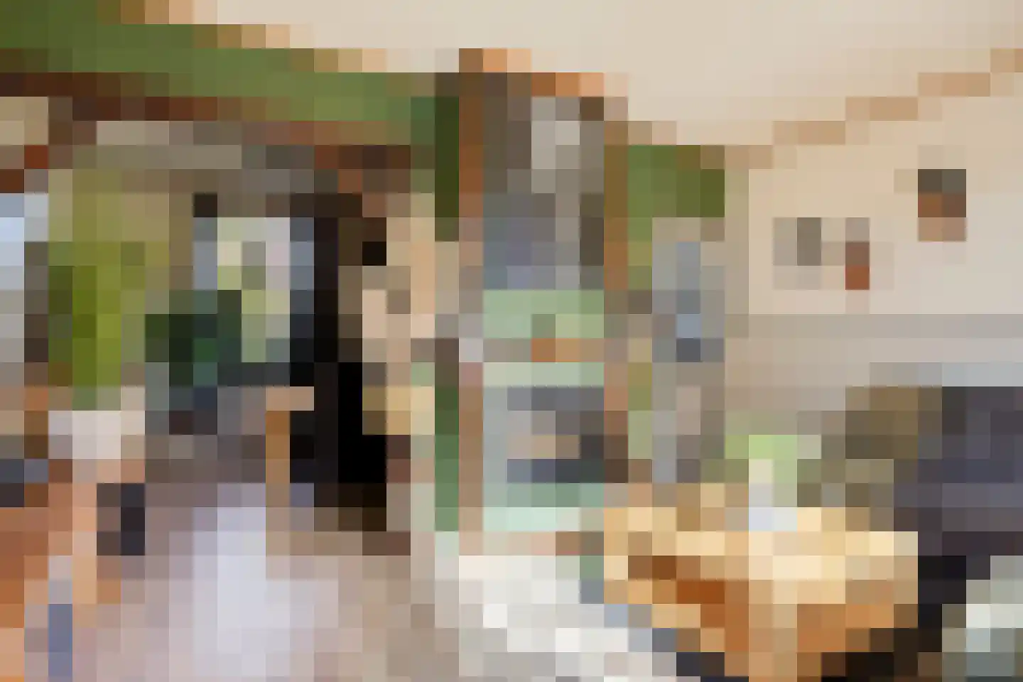 Hillegondastraat 10 Klazienaveen thumbnail 6