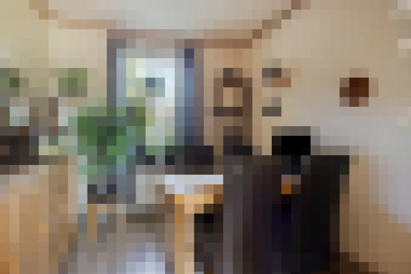 Hillegondastraat 10 Klazienaveen thumbnail 7