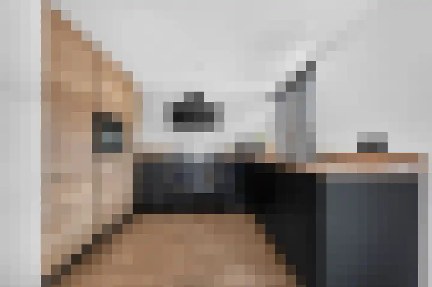 Hillegondastraat 5 Klazienaveen thumbnail 13