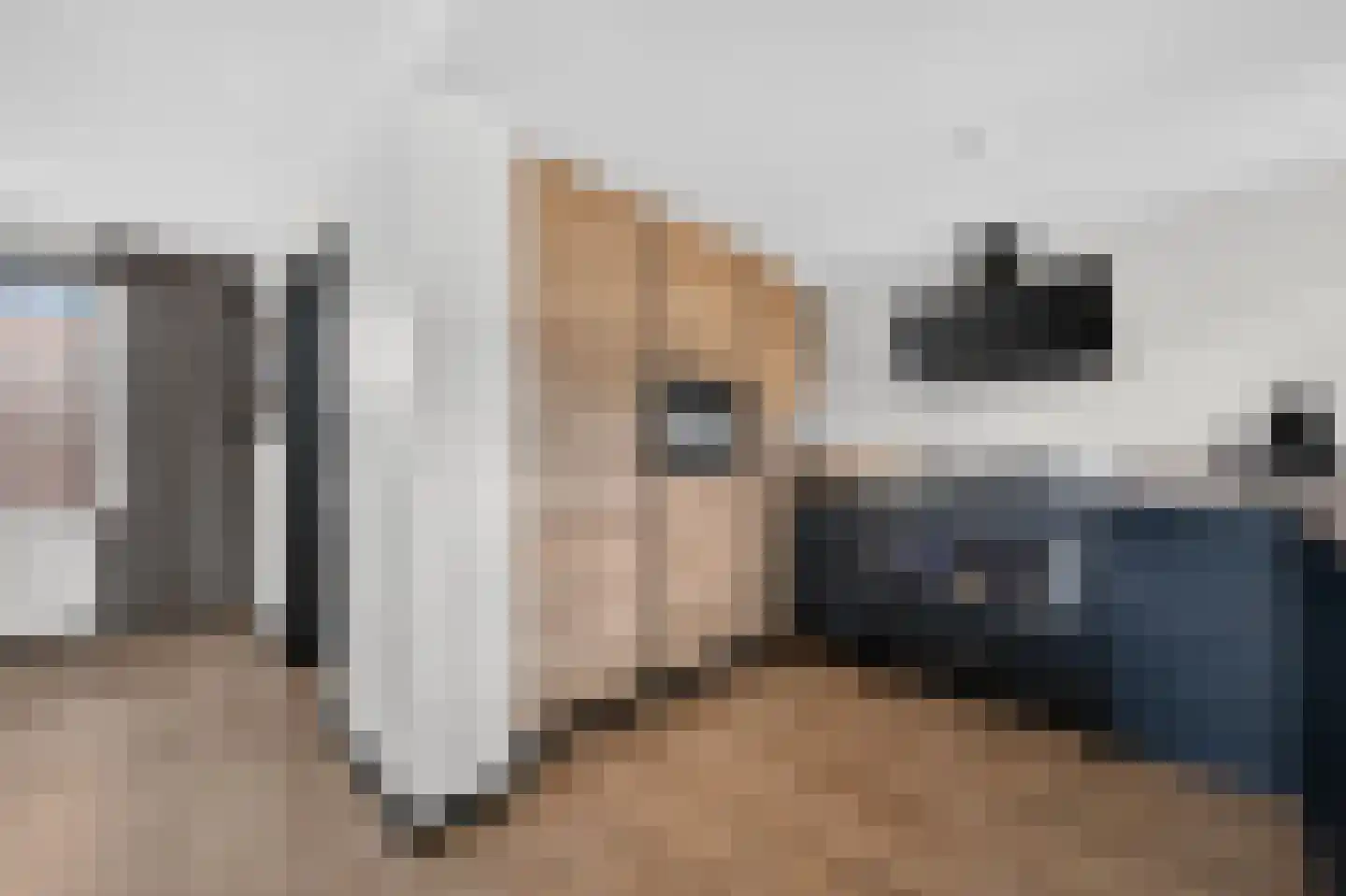 Hillegondastraat 5 Klazienaveen thumbnail 14